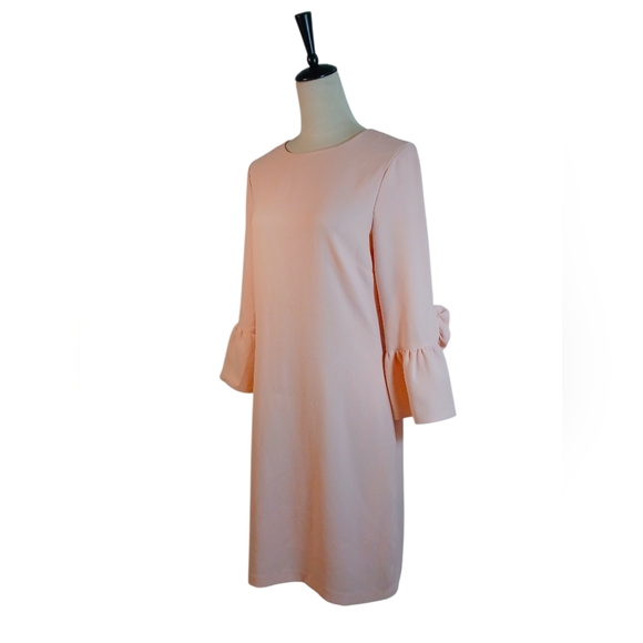 Chadwick Pastel Pink Shift W Bell & Ruffle Sleeves Size 6 - Picture 2 of 5